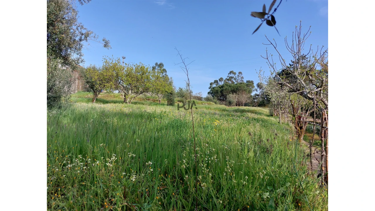 Moradia T1 para Venda em Fornos de Maceira Dão Foto 6