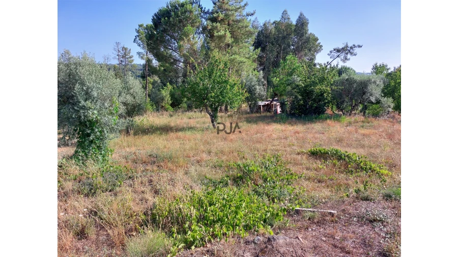 Moradia T1 para Venda em Fornos de Maceira Dão Foto 8