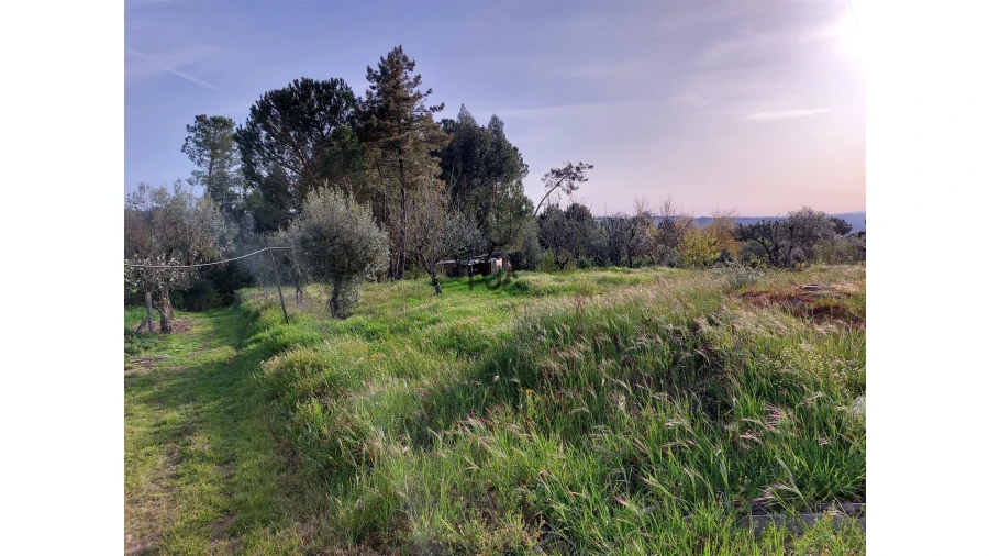 Moradia T1 para Venda em Fornos de Maceira Dão Foto 7