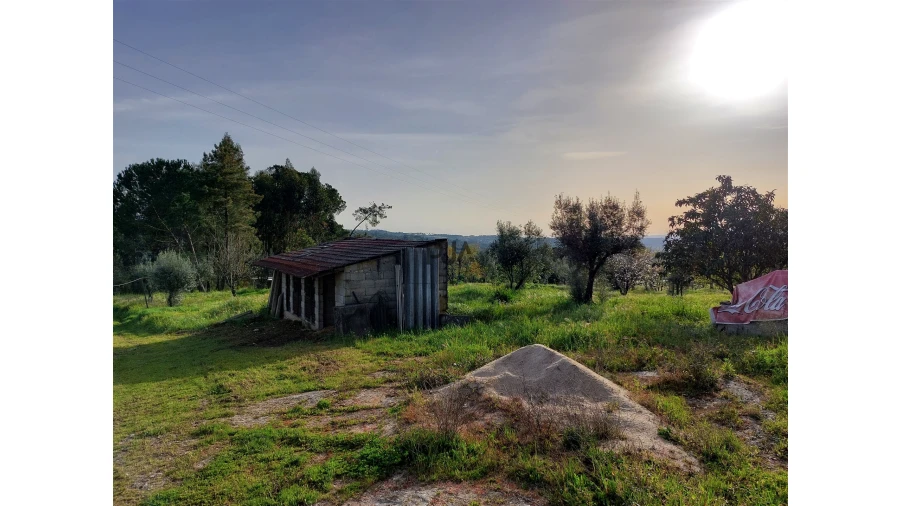 Moradia T1 para Venda em Fornos de Maceira Dão Foto 4