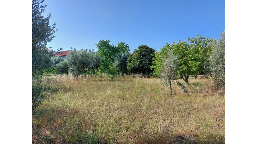 Moradia T1 para Venda em Fornos de Maceira Dão Foto 5