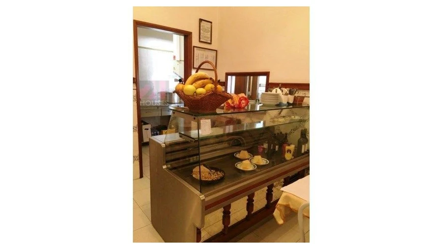 Negócio para Venda em Paialvo Foto 8