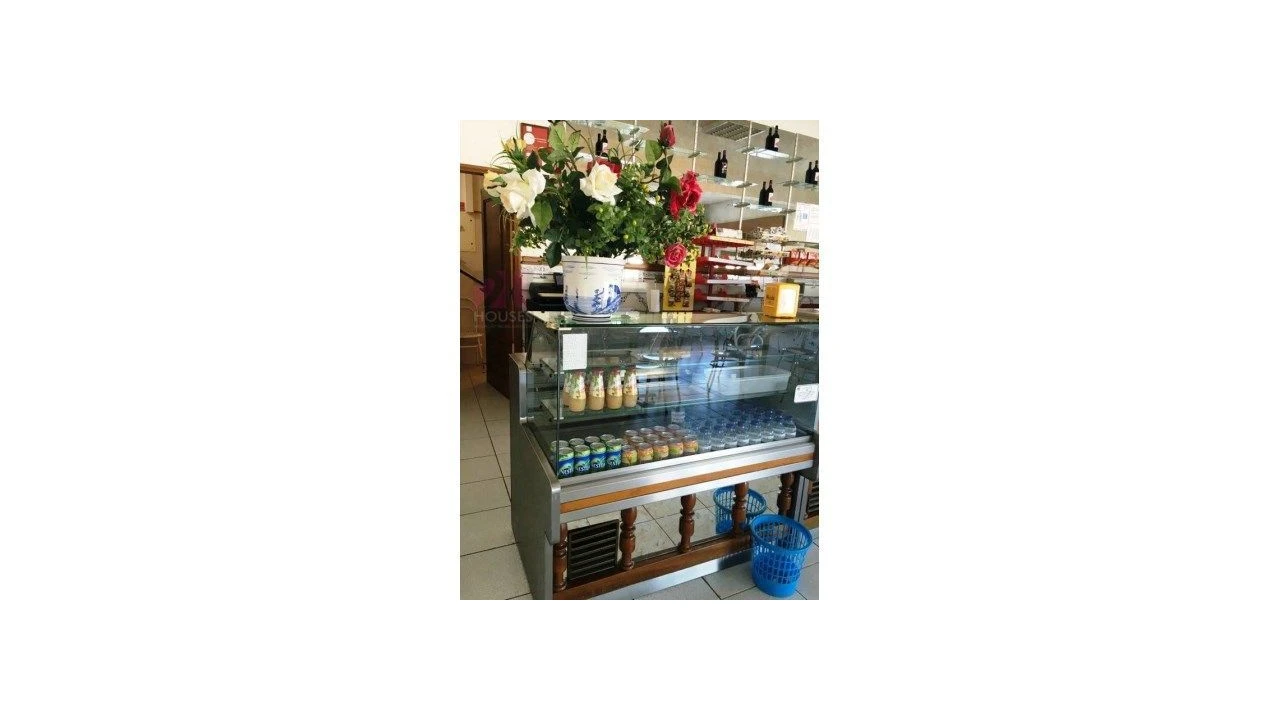 Negócio para Venda em Paialvo Foto 10