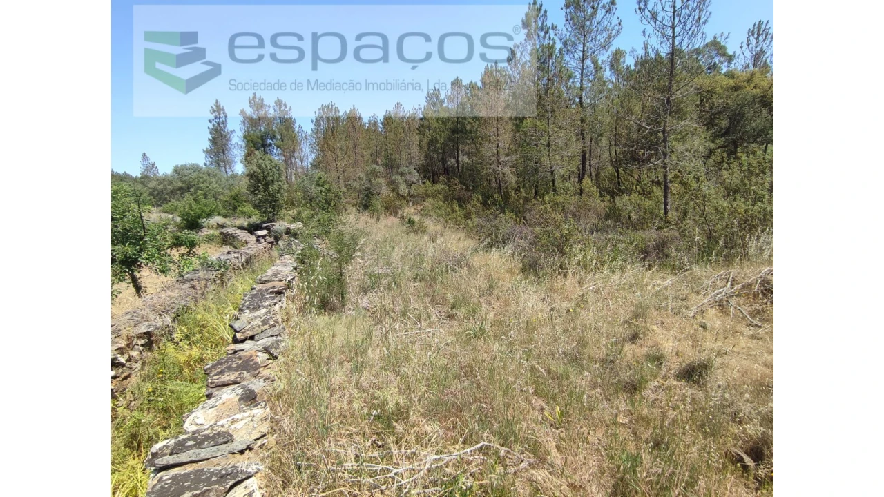 Terreno Agricola ou Rústico para Venda em Benquerenças Foto 11
