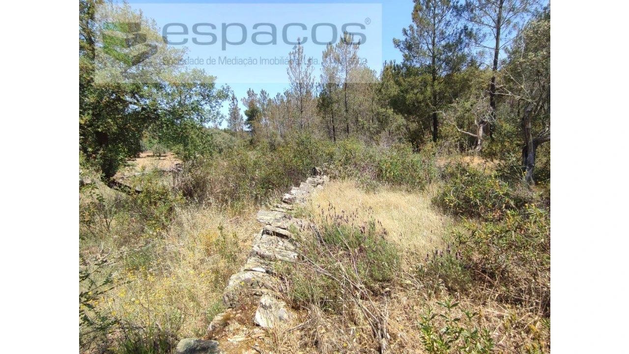 Terreno Agricola ou Rústico para Venda em Benquerenças Foto 12