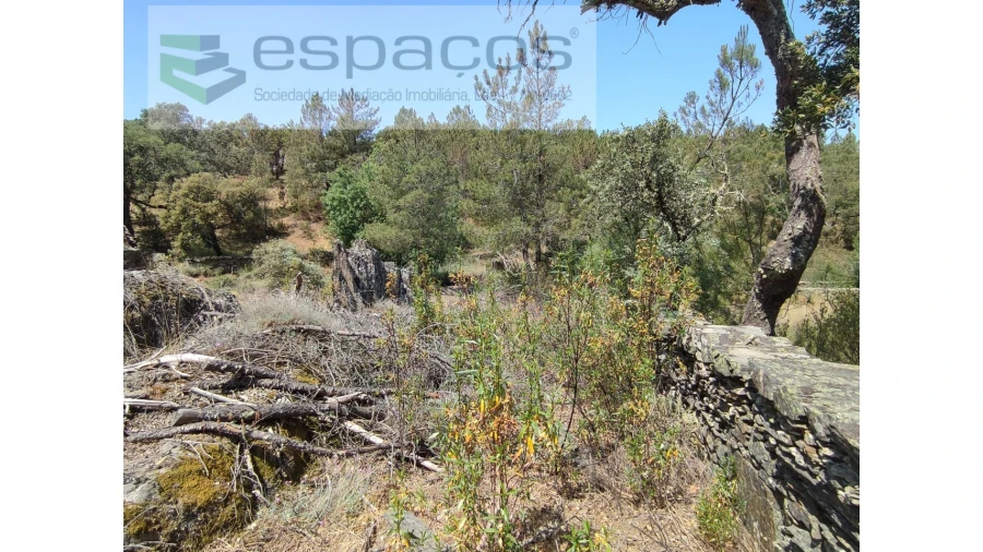 Terreno Agricola ou Rústico para Venda em Benquerenças Foto 3
