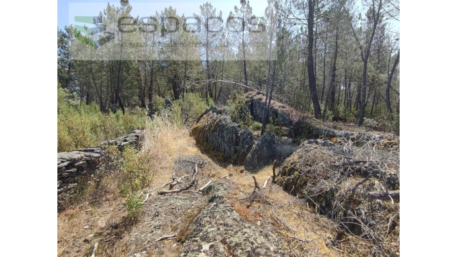 Terreno Agricola ou Rústico para Venda em Benquerenças