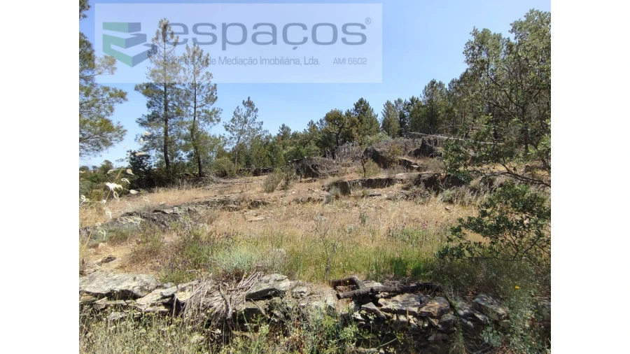 Terreno Agricola ou Rústico para Venda em Benquerenças Foto 2