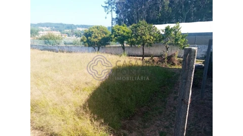 Terreno para Venda em São Felix da Marinha