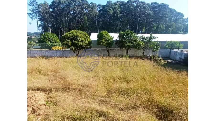 Terreno para Venda em São Felix da Marinha Foto 5