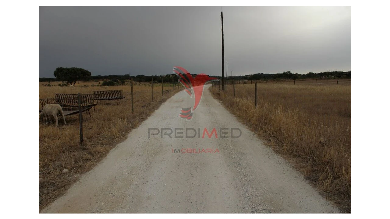 Terreno para Venda em Nossa Senhora da Conceição, São Brás dos Matos, Juromenha Foto 13