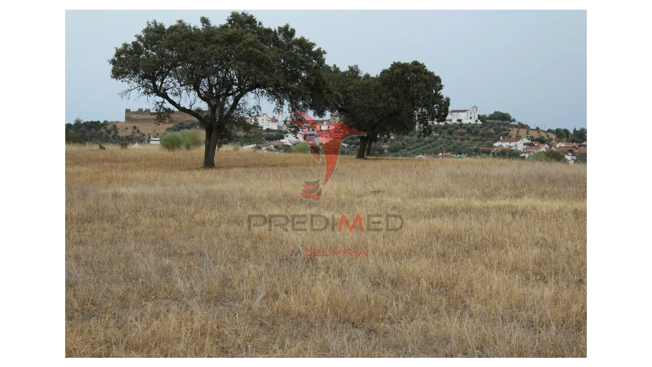 Terreno para Venda em Nossa Senhora da Conceição, São Brás dos Matos, Juromenha Foto 1
