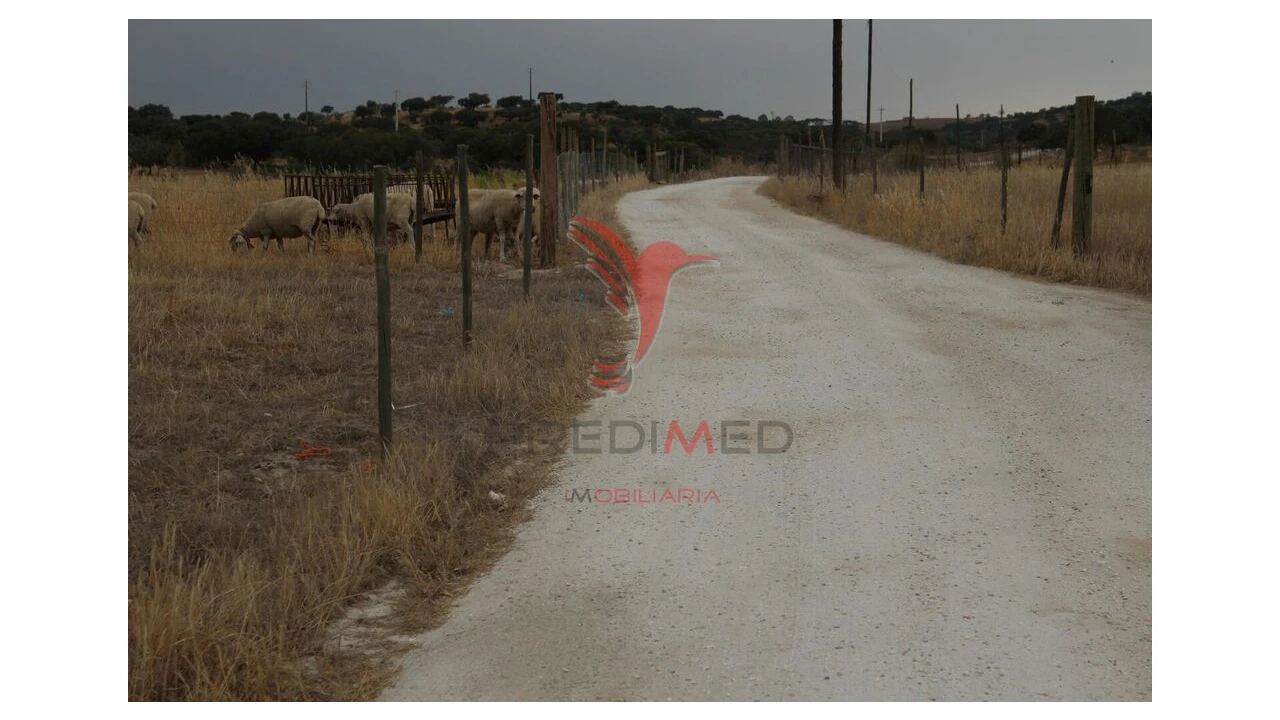 Terreno para Venda em Nossa Senhora da Conceição, São Brás dos Matos, Juromenha Foto 12