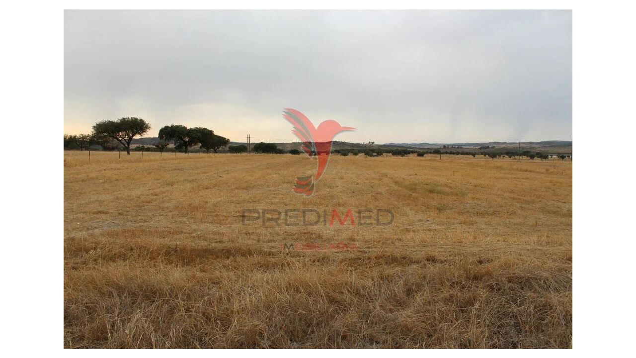 Terreno para Venda em Nossa Senhora da Conceição, São Brás dos Matos, Juromenha Foto 15