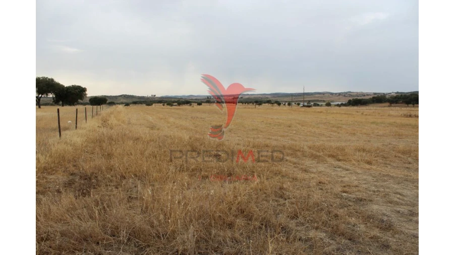 Terreno para Venda em Nossa Senhora da Conceição, São Brás dos Matos, Juromenha Foto 4