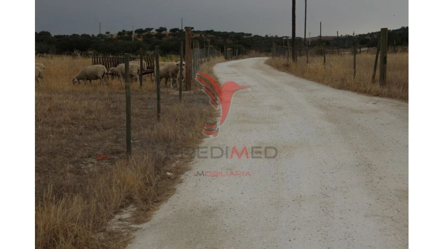 Terreno para Venda em Nossa Senhora da Conceição, São Brás dos Matos, Juromenha Foto 12