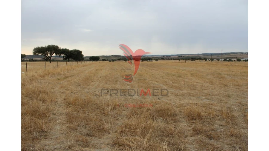Terreno para Venda em Nossa Senhora da Conceição, São Brás dos Matos, Juromenha Foto 5