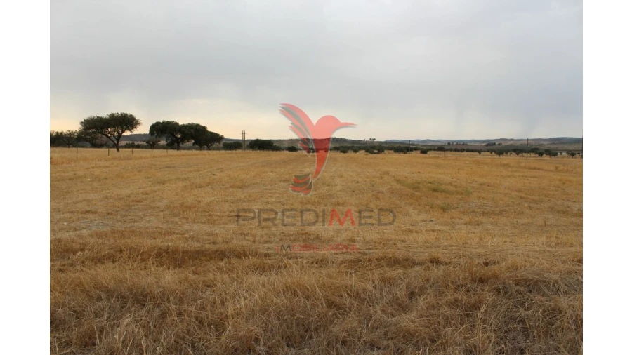 Terreno para Venda em Nossa Senhora da Conceição, São Brás dos Matos, Juromenha Foto 15
