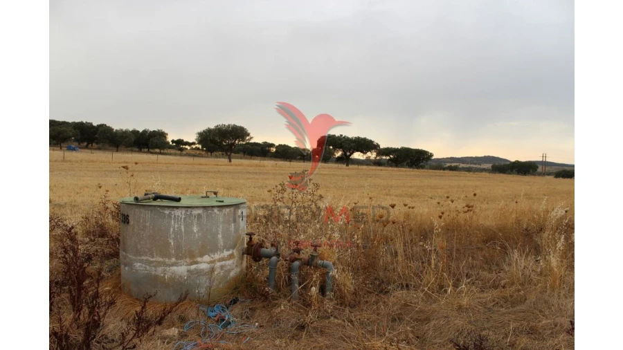 Terreno para Venda em Nossa Senhora da Conceição, São Brás dos Matos, Juromenha Foto 10