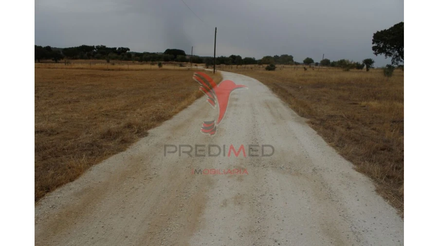 Terreno para Venda em Nossa Senhora da Conceição, São Brás dos Matos, Juromenha Foto 11