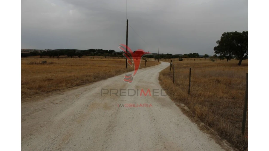 Terreno para Venda em Nossa Senhora da Conceição, São Brás dos Matos, Juromenha Foto 14