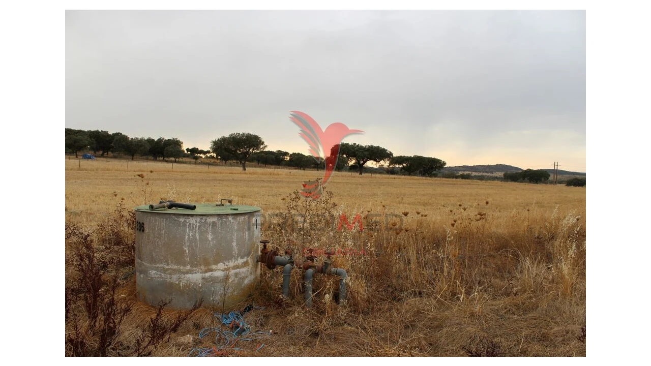 Terreno para Venda em Nossa Senhora da Conceição, São Brás dos Matos, Juromenha Foto 10
