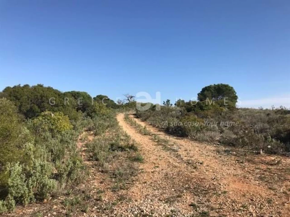 Terreno para Venda em Santa Barbara de Nexe Foto 7