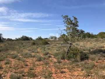 Terreno para Venda em Santa Barbara de Nexe