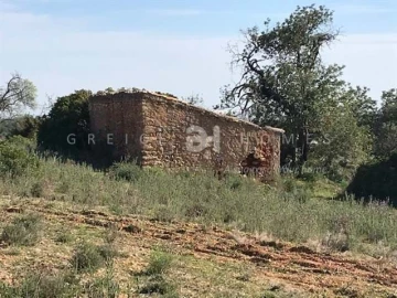 Terreno para Venda em Santa Barbara de Nexe