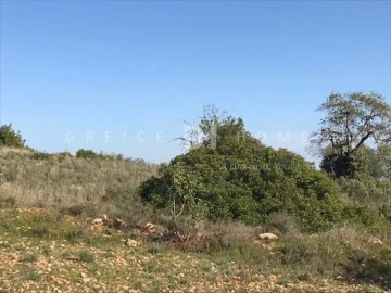 Terreno para Venda em Santa Barbara de Nexe