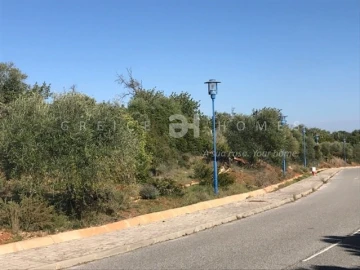 Terreno para Venda em Santa Barbara de Nexe