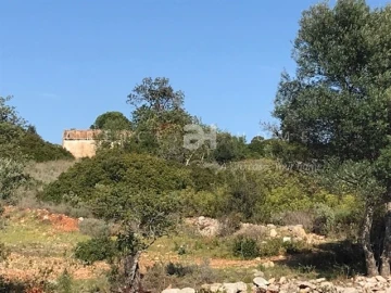 Terreno para Venda em Santa Barbara de Nexe