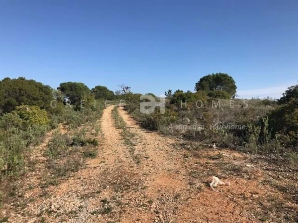 Terreno para Venda em Santa Barbara de Nexe Foto 8