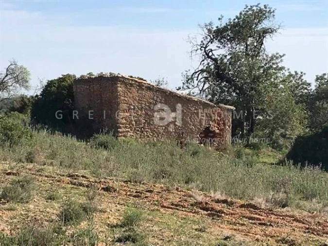 Terreno para Venda em Santa Barbara de Nexe Foto 9