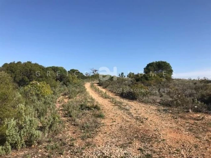 Terreno para Venda em Santa Barbara de Nexe Foto 7