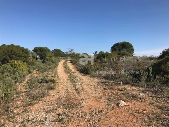Terreno para Venda em Santa Barbara de Nexe Foto 8