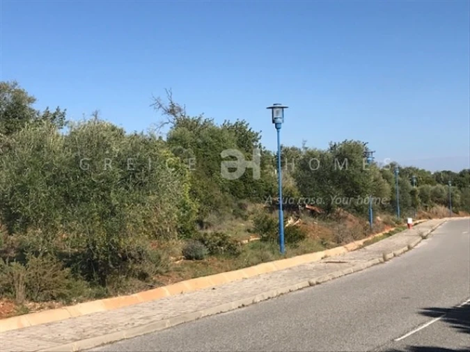Terreno para Venda em Santa Barbara de Nexe Foto 14