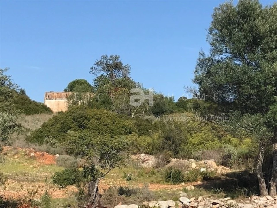 Terreno para Venda em Santa Barbara de Nexe Foto 12