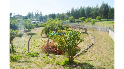 Moradia T3 para Venda em Figueiró dos Vinhos e Bairradas