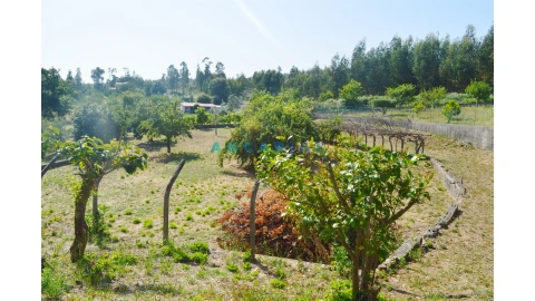 Moradia T3 para Venda em Figueiró dos Vinhos e Bairradas