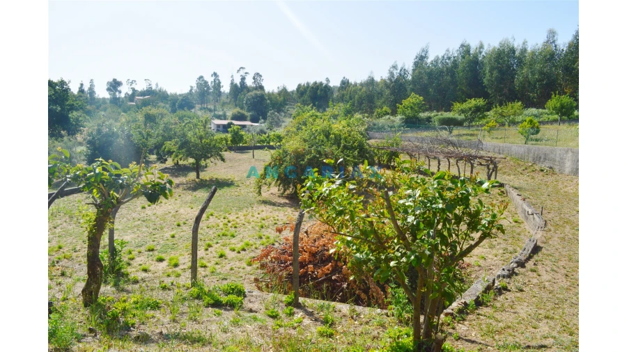 Moradia T3 para Venda em Figueiró dos Vinhos e Bairradas Foto 17