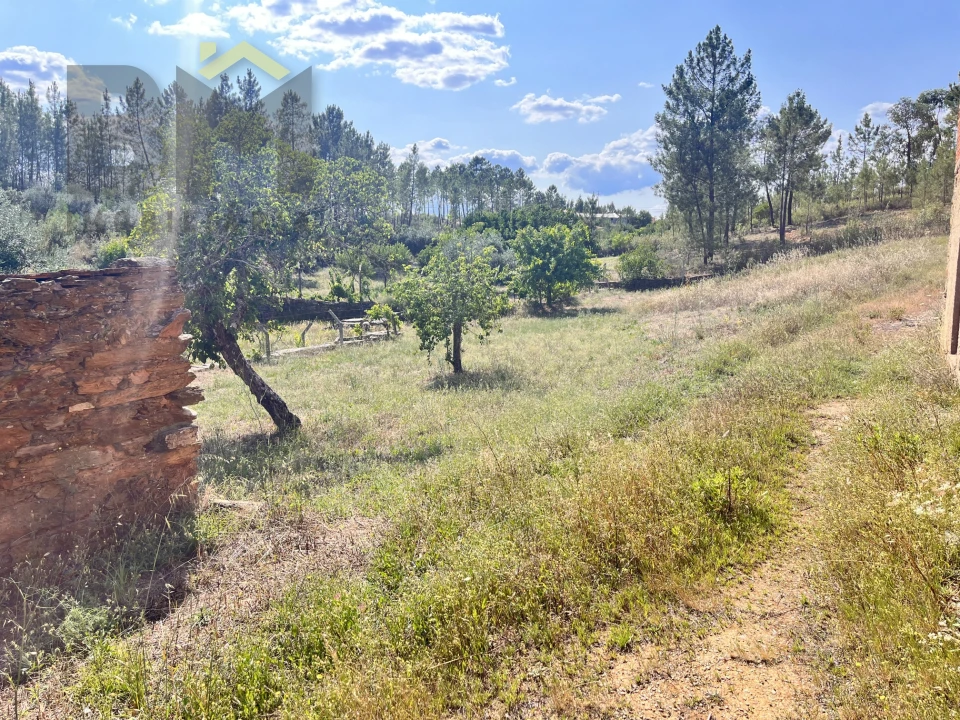 Quinta T0 para Venda em Santo Andre das Tojeiras Foto 26