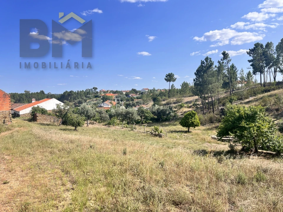 Quinta T0 para Venda em Santo Andre das Tojeiras Foto 33