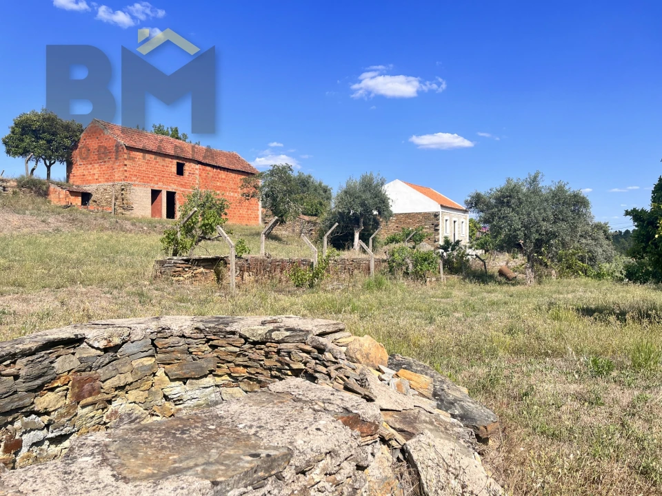 Quinta T0 para Venda em Santo Andre das Tojeiras Foto 29