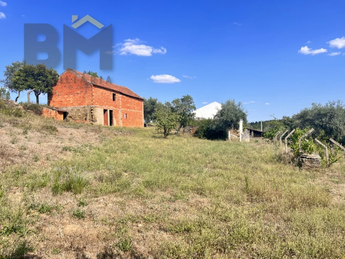 Quinta T0 para Venda em Santo Andre das Tojeiras Foto 31