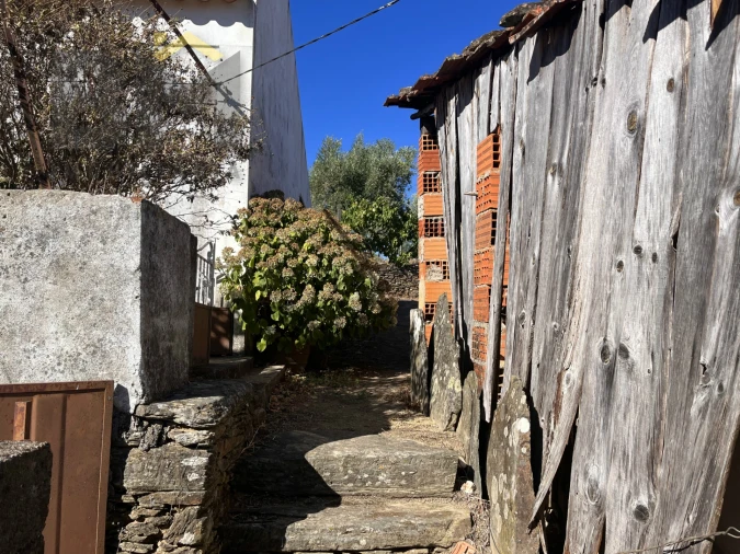 Quinta T0 para Venda em Santo Andre das Tojeiras Foto 14