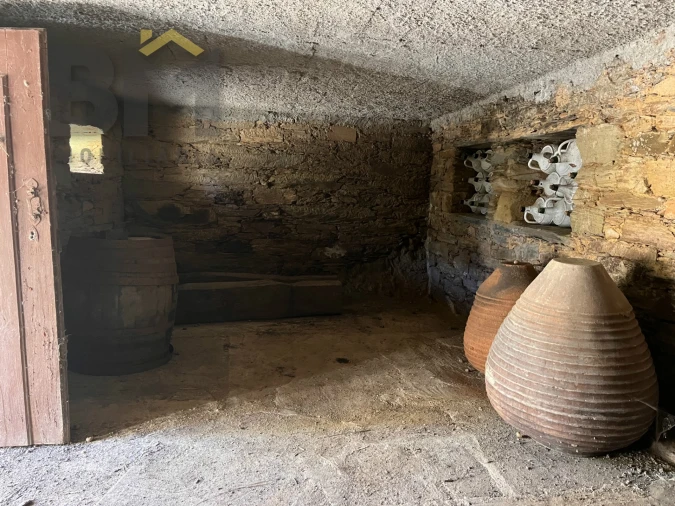 Quinta T0 para Venda em Santo Andre das Tojeiras Foto 18