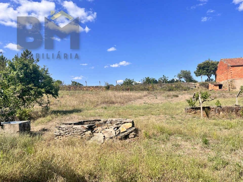 Quinta T0 para Venda em Santo Andre das Tojeiras Foto 32