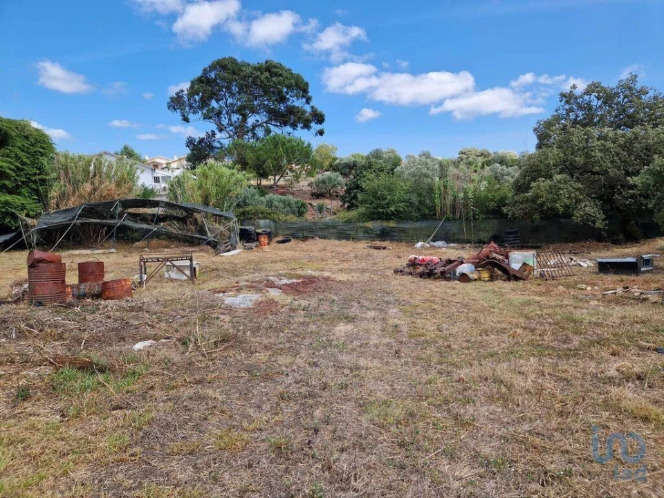 Terreno para Venda em Porto de Mós - São João Baptista e São Pedro Foto 13