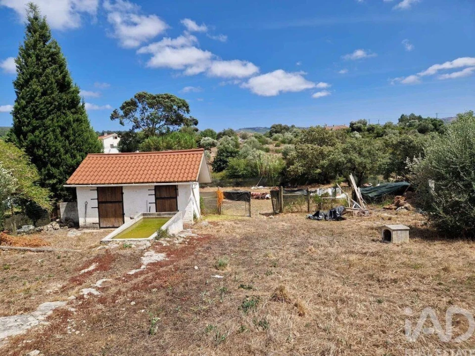 Terreno para Venda em Porto de Mós - São João Baptista e São Pedro Foto 16